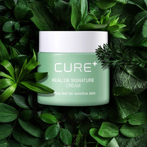 KIM JEONG MOON Aloe Cure Realoe Signature Cream 55g