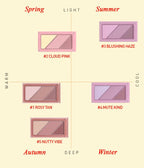 3CE LAYER-IT-ALL Blush Palette 10.5g (4colors)
