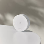 rom&nd Back Me Tone Up Sun Cushion 11g SPF50+ PA++++