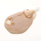 Elizavecca Green Piggy Collagen Jella Pack 100g