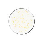 Genabelle PDRN Vita Toning Ampoule 30ml