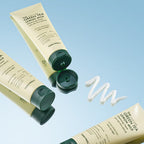 TONYMOLY The Chok Chok Green Tea Lemon Mild Cleansing Foam 150ml tube with green tea leaves and lemons